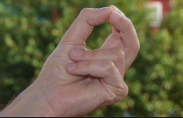 Очень мощная мудра Кубера для исполнения желаний и привлечения богатств Очень мощная мудра Кубера для исполнения желаний и привлечения богатств