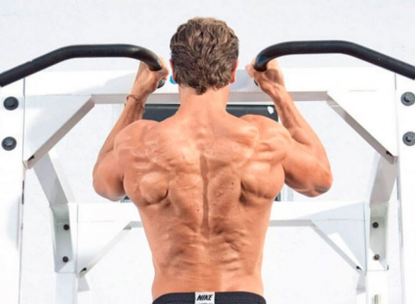 Подтягивания узким хватом Подтягивания узким хватом