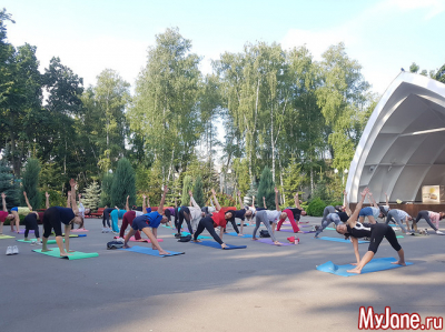Йога для начинающих: скрутки из положения «стоя»