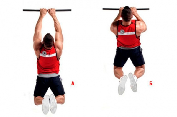 Подтягивания узким хватом Подтягивания узким хватом