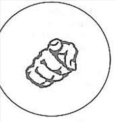 Активация чакр с помощью мудр: эффективная практика для каждого энергетического центра