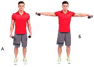 Годовая программа по набору массы от Men’s Health. Этап 4. Часть 2