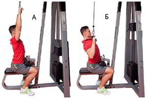 Годовая программа по набору массы от Men’s Health. Этап 4. Часть 2