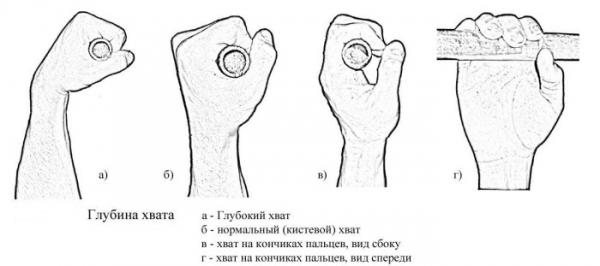 Подтягивания в гравитроне для девушек. Какие мышцы работают, техника Подтягивания в гравитроне для девушек. Какие мышцы работают, техника