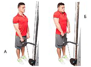 Годовая программа по набору массы от Men’s Health. Этап 4. Часть 2