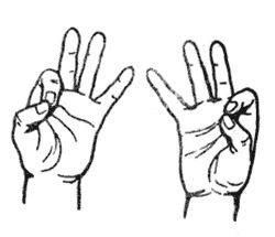 Йога для пальцев. Какие бывают мудры и что они означают Йога для пальцев. Какие бывают мудры и что они означают