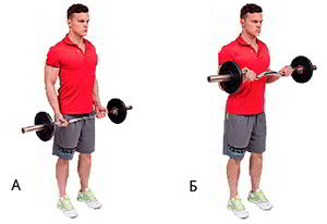 Годовая программа по набору массы от Men’s Health. Этап 4. Часть 2