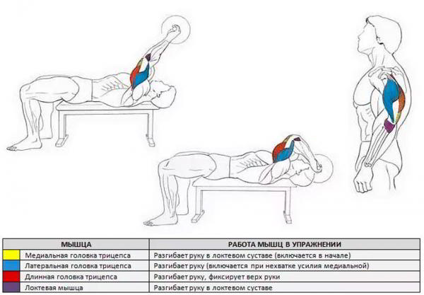 Французский жим лежа