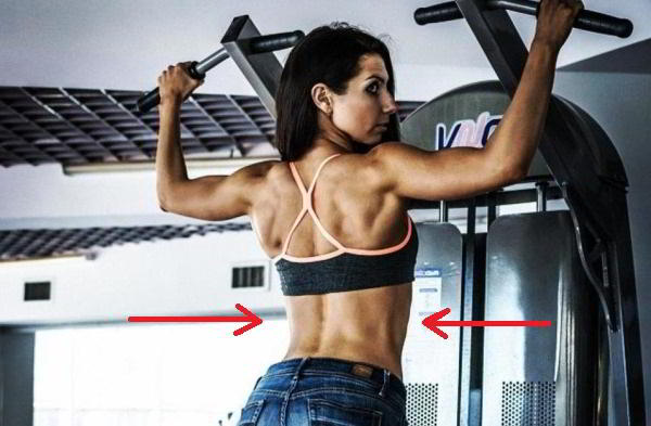 Подтягивания в гравитроне для девушек. Какие мышцы работают, техника Подтягивания в гравитроне для девушек. Какие мышцы работают, техника