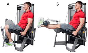 Годовая программа по набору массы от Men’s Health. Этап 4. Часть 2