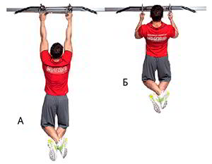 Годовая программа по набору массы от Men’s Health. Этап 4. Часть 2