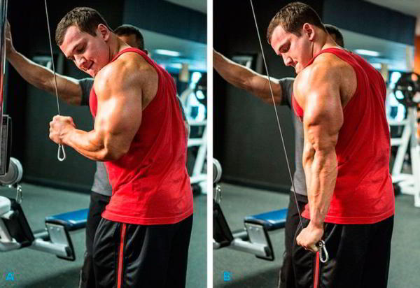 Разгибание руки на верхнем блоке стоя