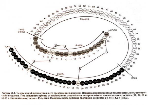 Инсулин в бодибилдинге Инсулин в бодибилдинге