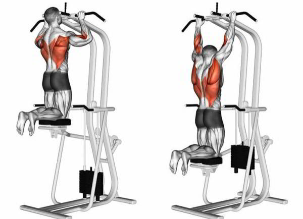 Подтягивания в гравитроне для девушек. Какие мышцы работают, техника Подтягивания в гравитроне для девушек. Какие мышцы работают, техника