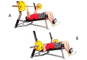 Годовая программа по набору массы от Men’s Health. Этап 4. Часть 2