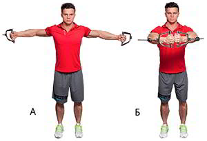 Годовая программа по набору массы от Men’s Health. Этап 4. Часть 2