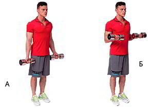 Годовая программа по набору массы от Men’s Health. Этап 4. Часть 2