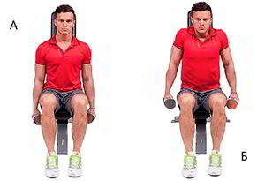 Годовая программа по набору массы от Men’s Health. Этап 4. Часть 2