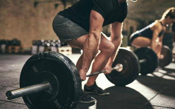 Протеин для набора мышечной массы: лучше выбрать белковые продукты или спортпит? Протеин для набора мышечной массы: лучше выбрать белковые продукты или спортпит?