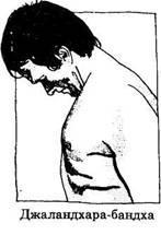 Секреты выполнения Джаландхара бандхи (горловой замок) для начинающих практиков