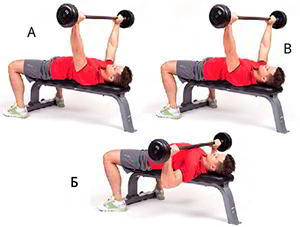 Годовая программа по набору массы от Men’s Health. Этап 4. Часть 2