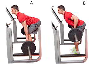 Годовая программа по набору массы от Men’s Health. Этап 4. Часть 2