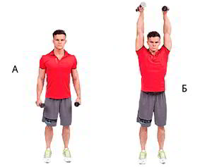 Годовая программа по набору массы от Men’s Health. Этап 4. Часть 2