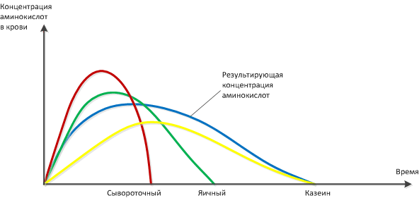 Сывороточный протеин отзывы – правда, или…?