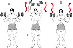 9 отцов-основателей фитнеса: от Пилатеса до Шварценеггера 9 отцов-основателей фитнеса: от Пилатеса до Шварценеггера