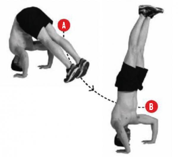 Тренировки Конора Макгрегора: 8 упражнений от легенды UFC