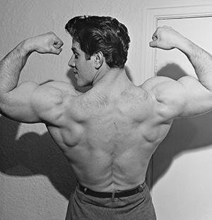 9 отцов-основателей фитнеса: от Пилатеса до Шварценеггера 9 отцов-основателей фитнеса: от Пилатеса до Шварценеггера