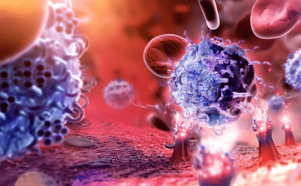 Иммунитет в период вирусных заболеваний: поддержка организма с помощью продуктов Herbalife Nutrition Иммунитет в период вирусных заболеваний: поддержка организма с помощью продуктов Herbalife Nutrition