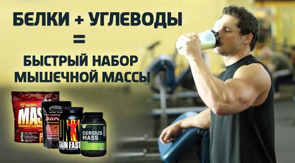 Что лучше креатин или протеин? Что лучше креатин или протеин?