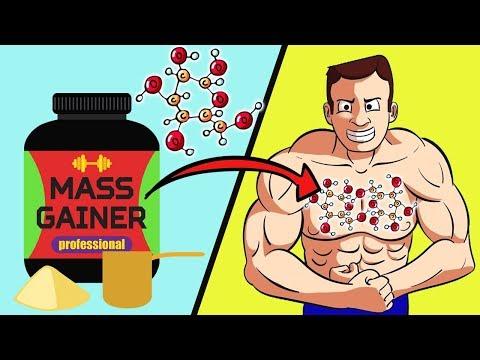 Что лучше креатин или протеин? Что лучше креатин или протеин?