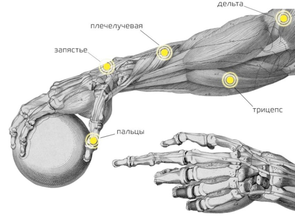 Гироскопический тренажер — кистевой эспандер Powerball Гироскопический тренажер — кистевой эспандер Powerball