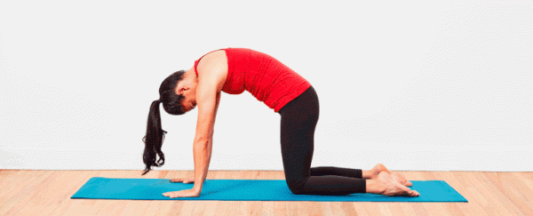 Асаны для начинающих, 31 упражнение