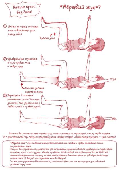 Упражнение «Мертвый жук» на пресс. Польза, техника