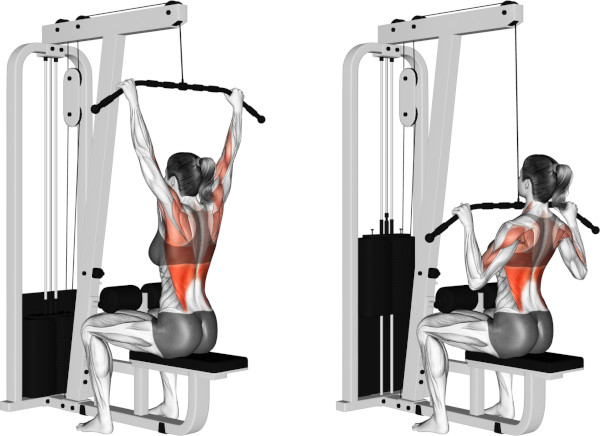 Тяга верхнего блока к груди широким хватом. Техника Тяга верхнего блока к груди широким хватом. Техника