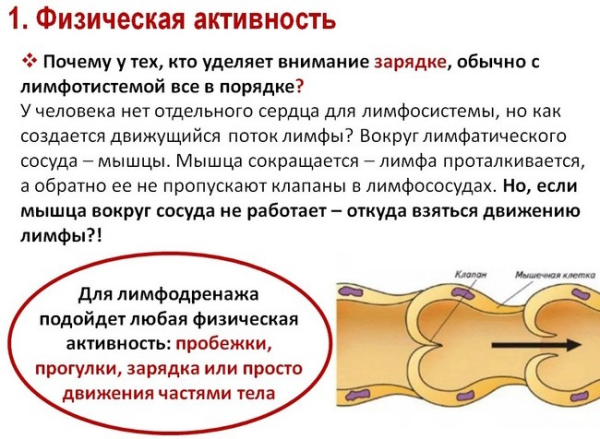 Как разогнать лимфу в организме, убрать отеки, улучшить лимфоотток Как разогнать лимфу в организме, убрать отеки, улучшить лимфоотток