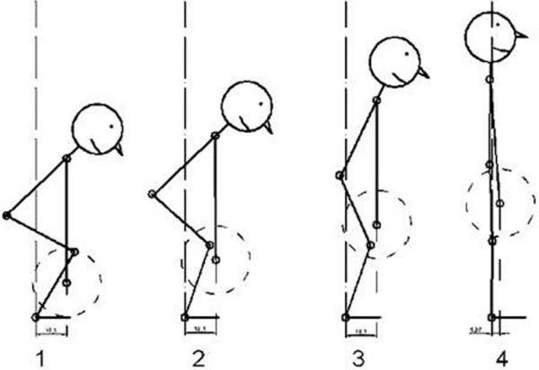 Становая тяга: техника выполнения