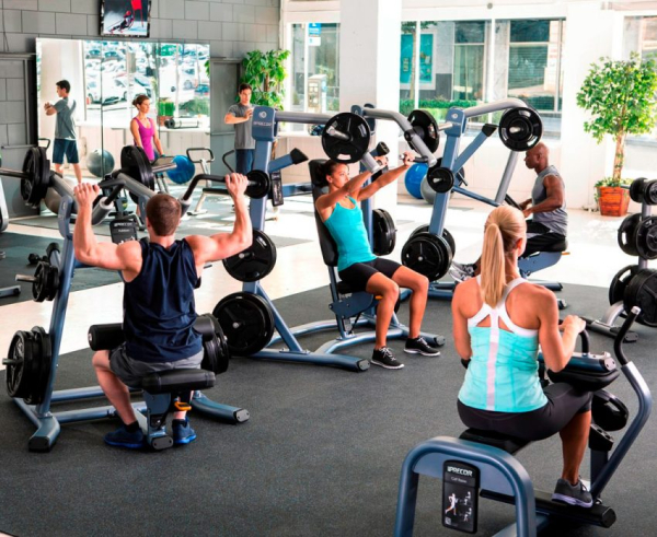 Виды тренажеров в зале