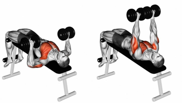 Упражнения на скамье для пресса Упражнения на скамье для пресса