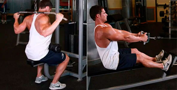 Виды тренажеров в зале