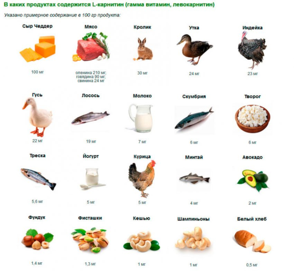 L-карнитин для похудения L-карнитин для похудения