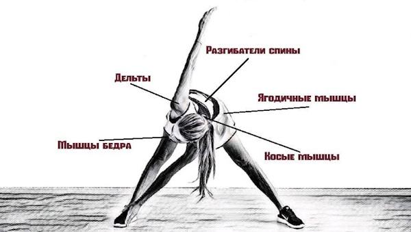 Упражнение Мельница. Описание, польза