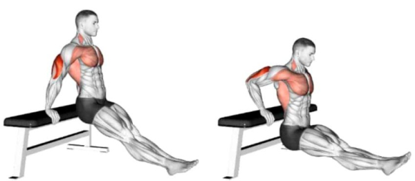 Упражнения на скамье для пресса Упражнения на скамье для пресса