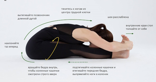 Складка упражнение в гимнастике. На пресс, растяжку, стоя Складка упражнение в гимнастике. На пресс, растяжку, стоя