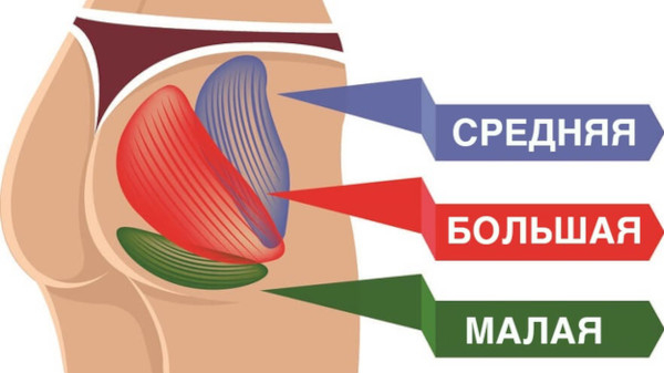 Бразильская попа. Как сделать в домашних условиях Бразильская попа. Как сделать в домашних условиях