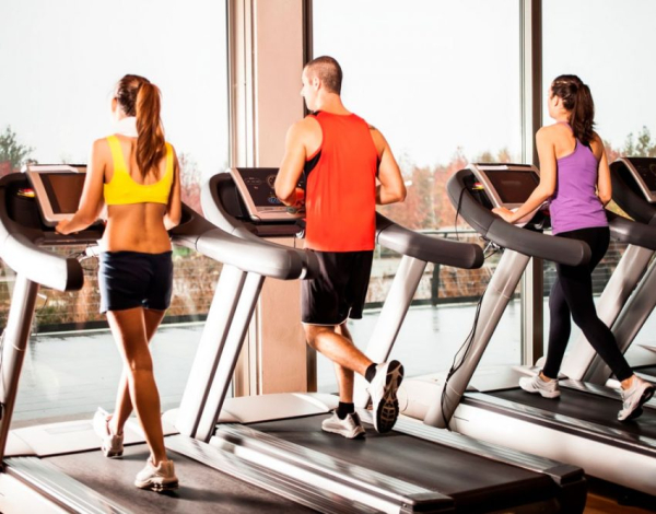 Виды тренажеров в зале