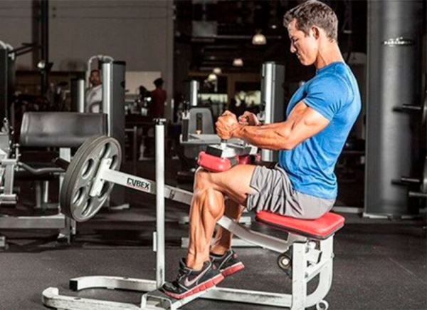 Виды тренажеров в зале